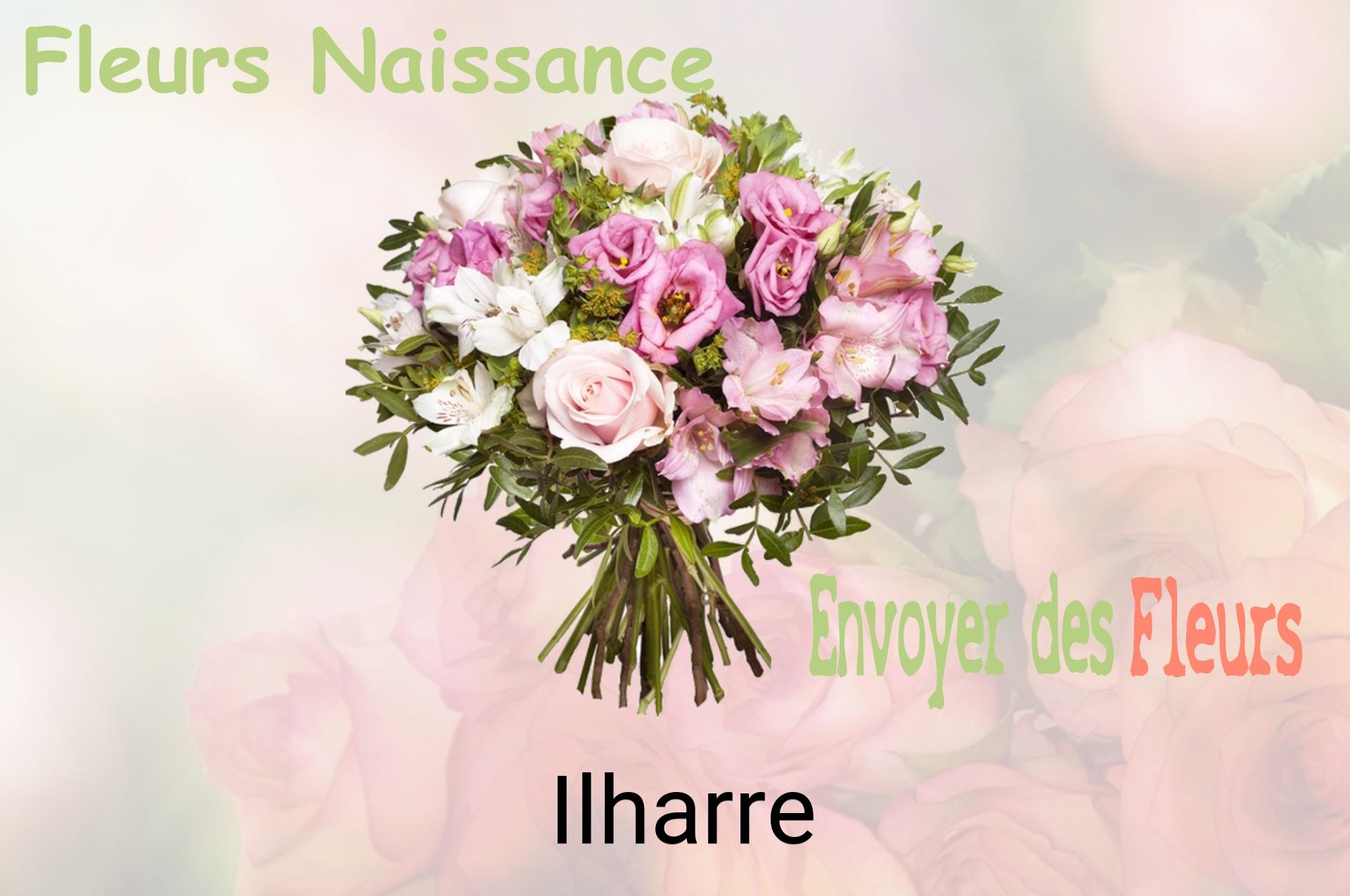 Bouquet de fleurs de naissance livré à Ilharre